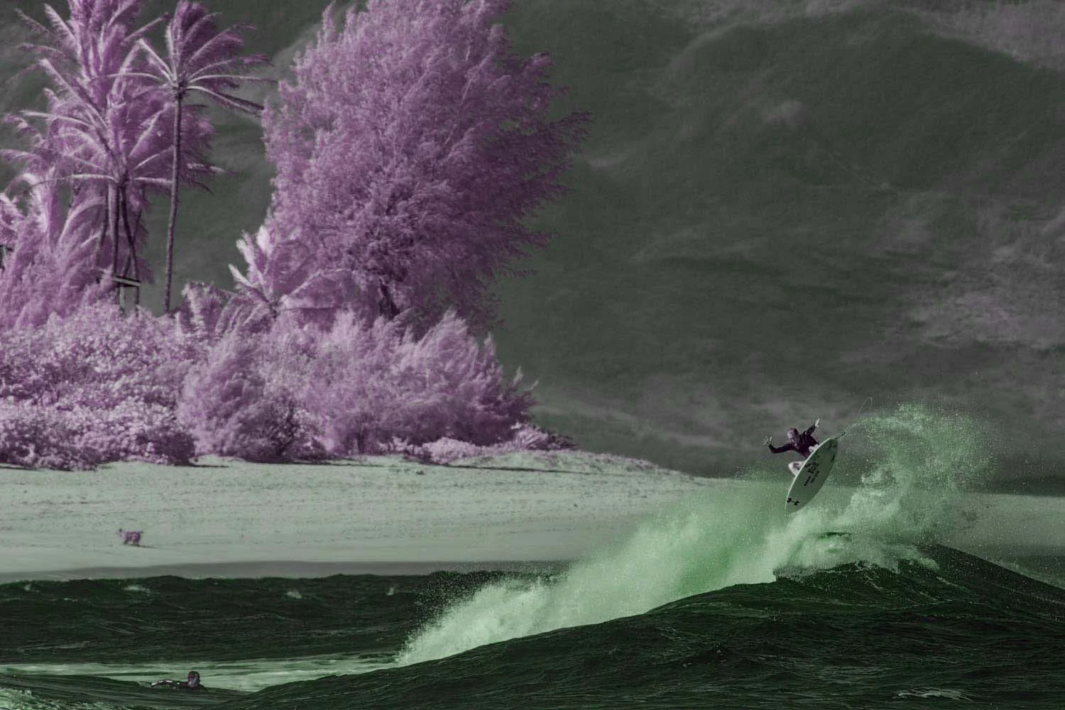 Seth Moniz, North Shore, Oahu, Hawaii
