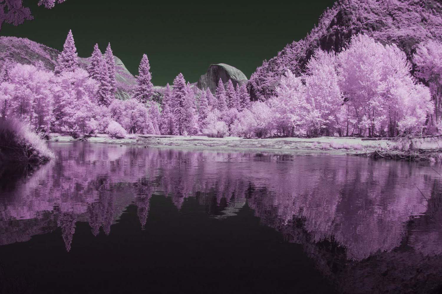 Yosemite Valley, California In Infrared