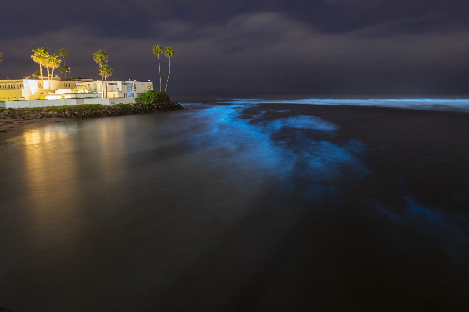 Del Mar Bioluminescence 