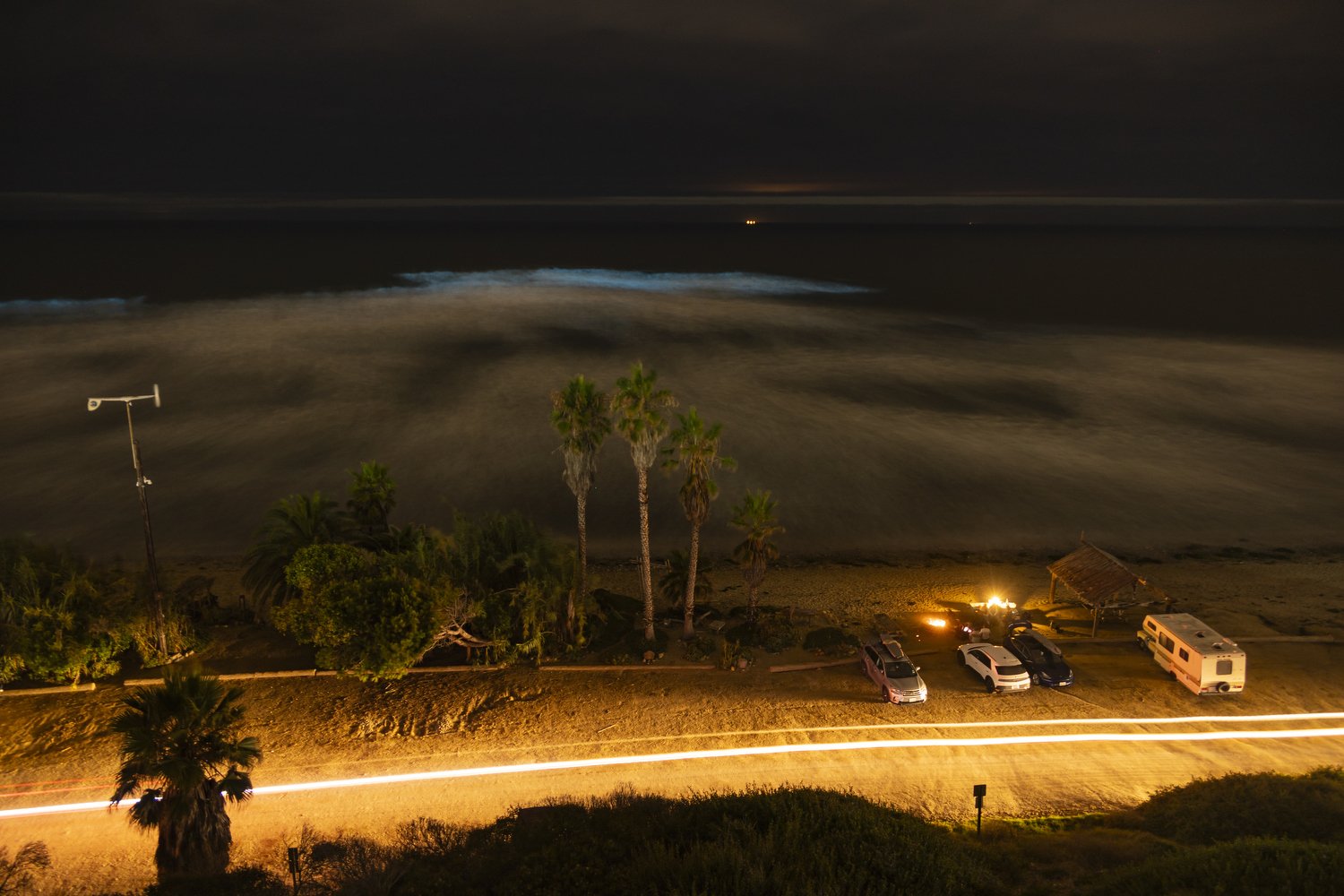 San Onofre Bioluminescence  