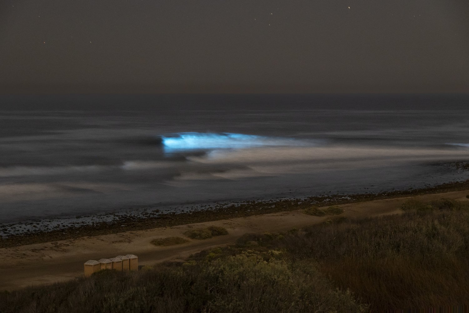  Lower Trestles Bioluminescence  