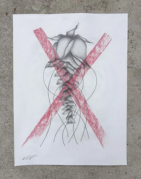 18" x 24", graphite and pastel on paper 