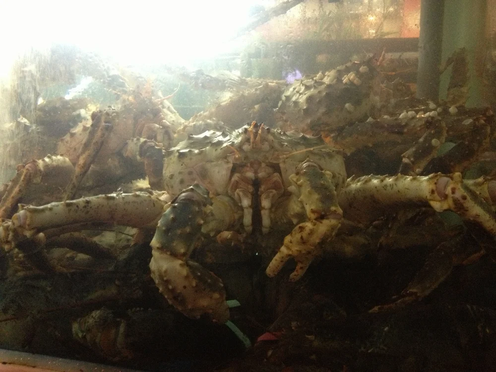 Giant creepy crab