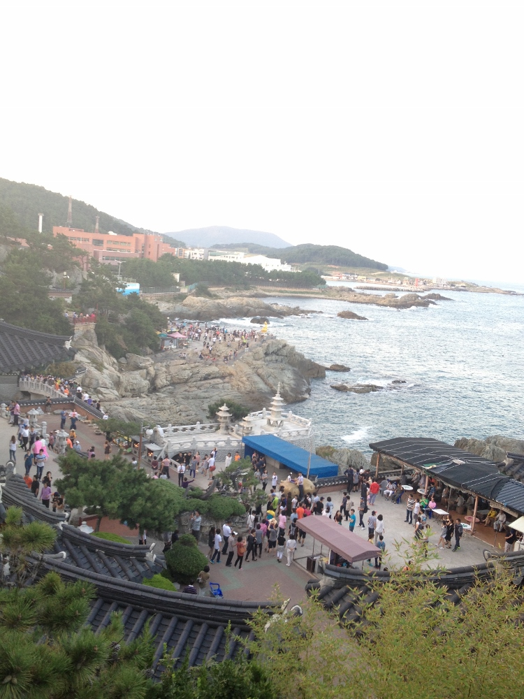  View from the highest point of the temple 