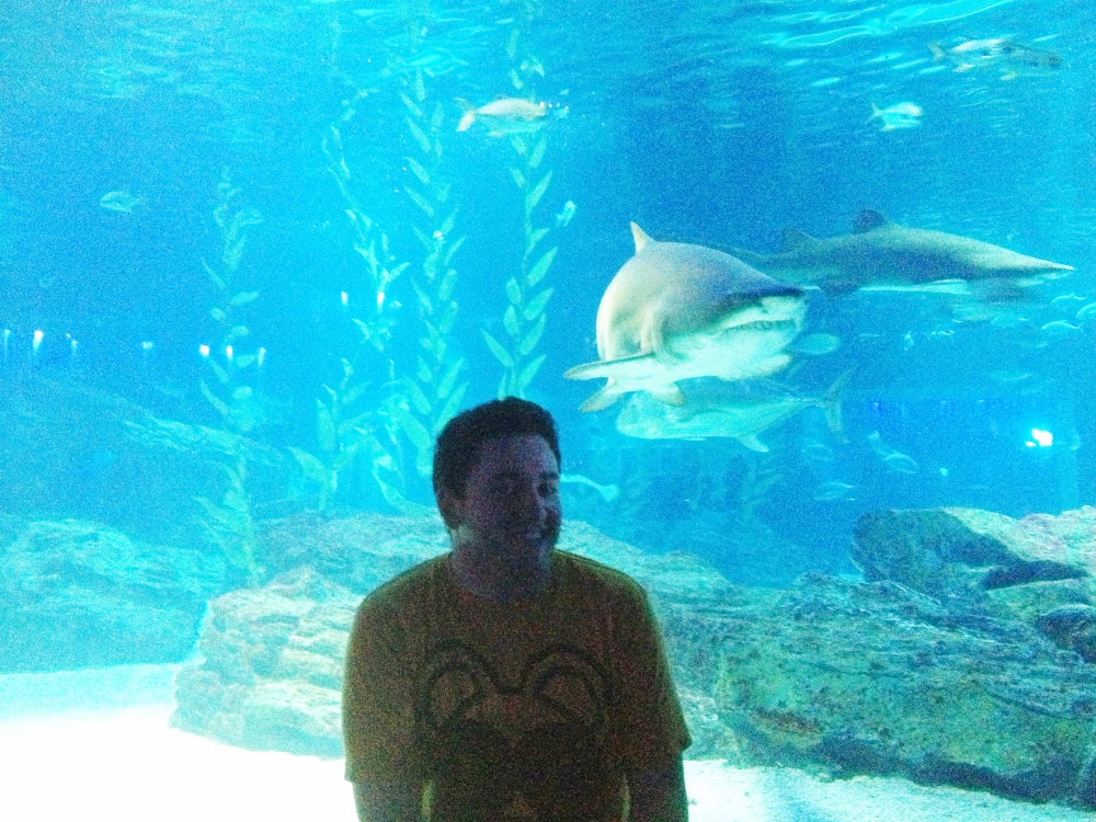  Me and my shark friend 