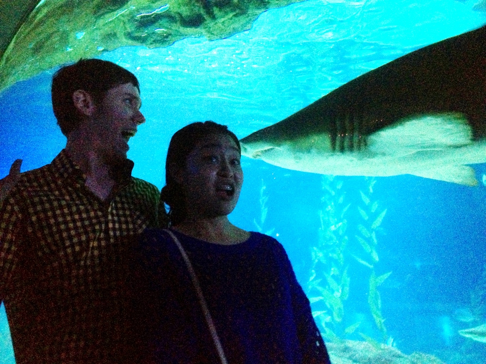 Chase and April about to get eaten by a shark!