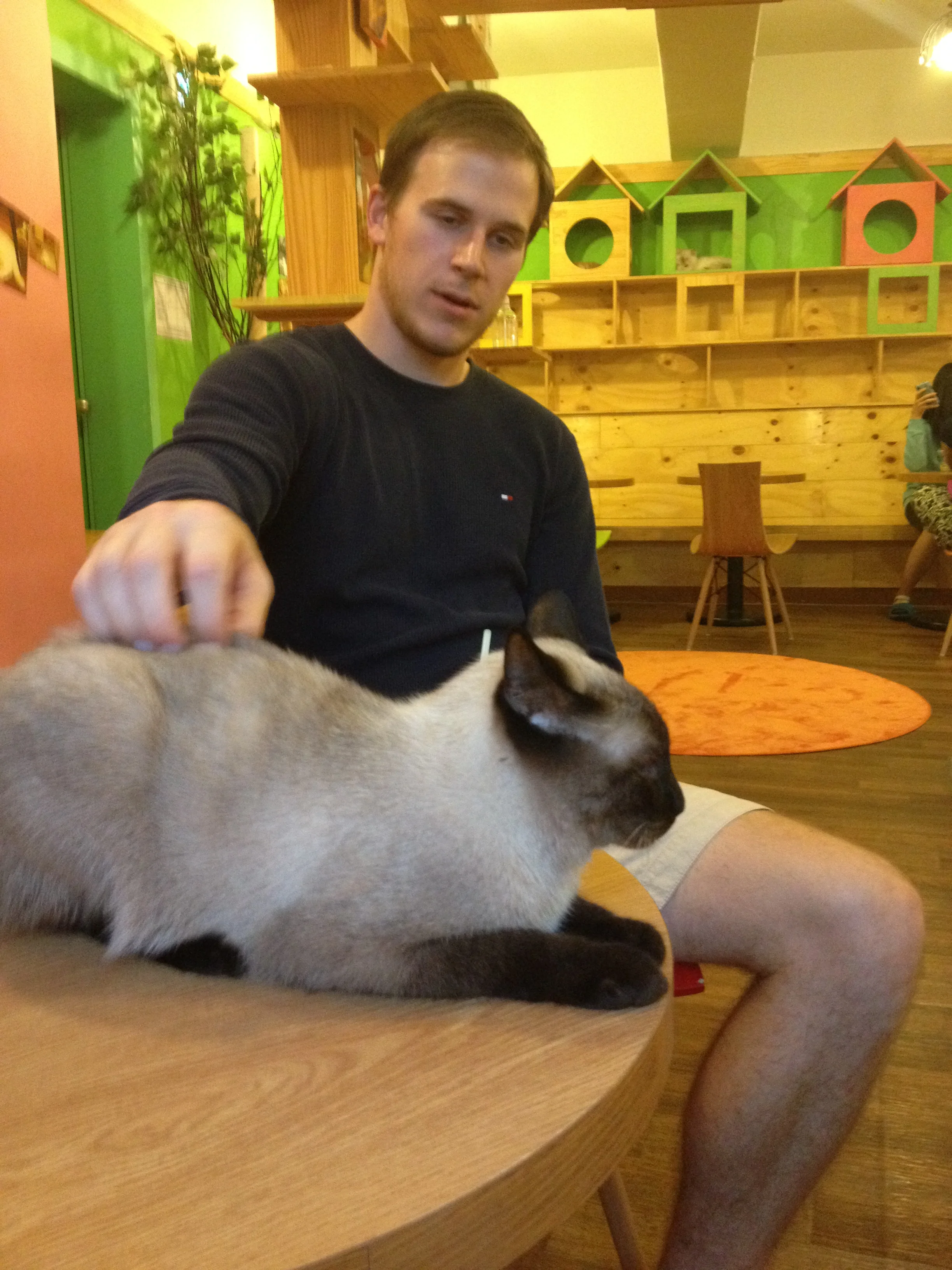 Craig petting a cat