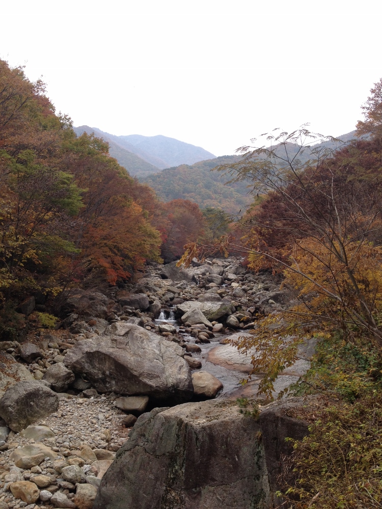  Rocks in the river 