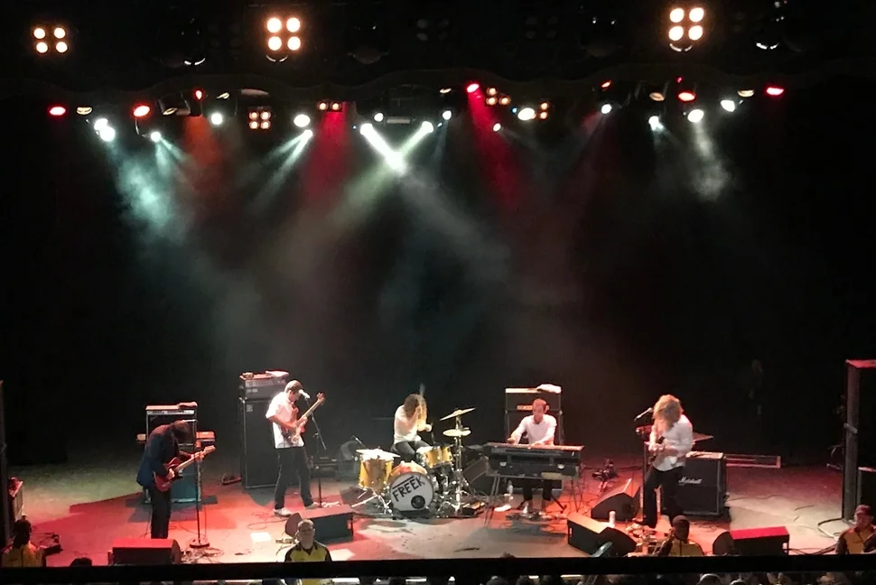 Ty Segall Band