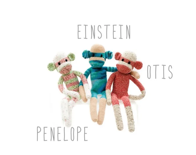 Einstein Monkey.png