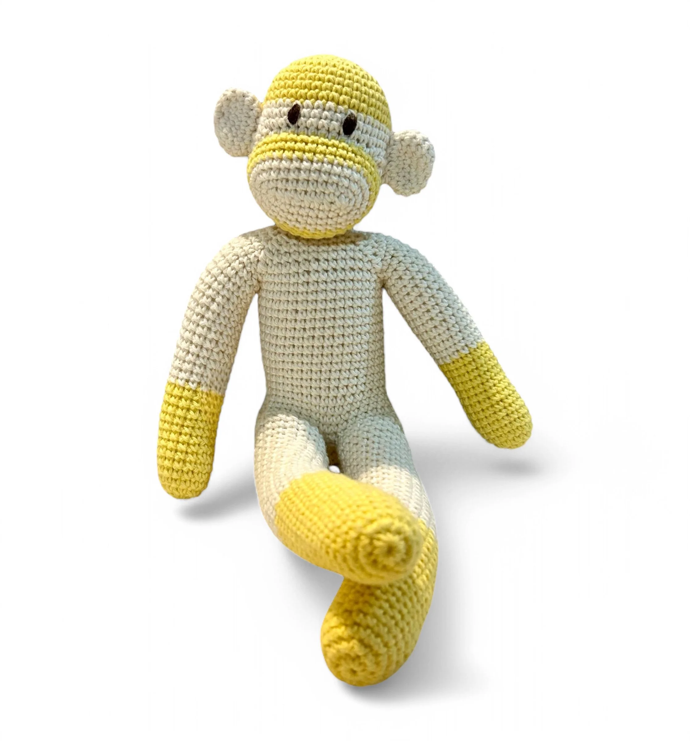 Sunny, the Happy Monkey