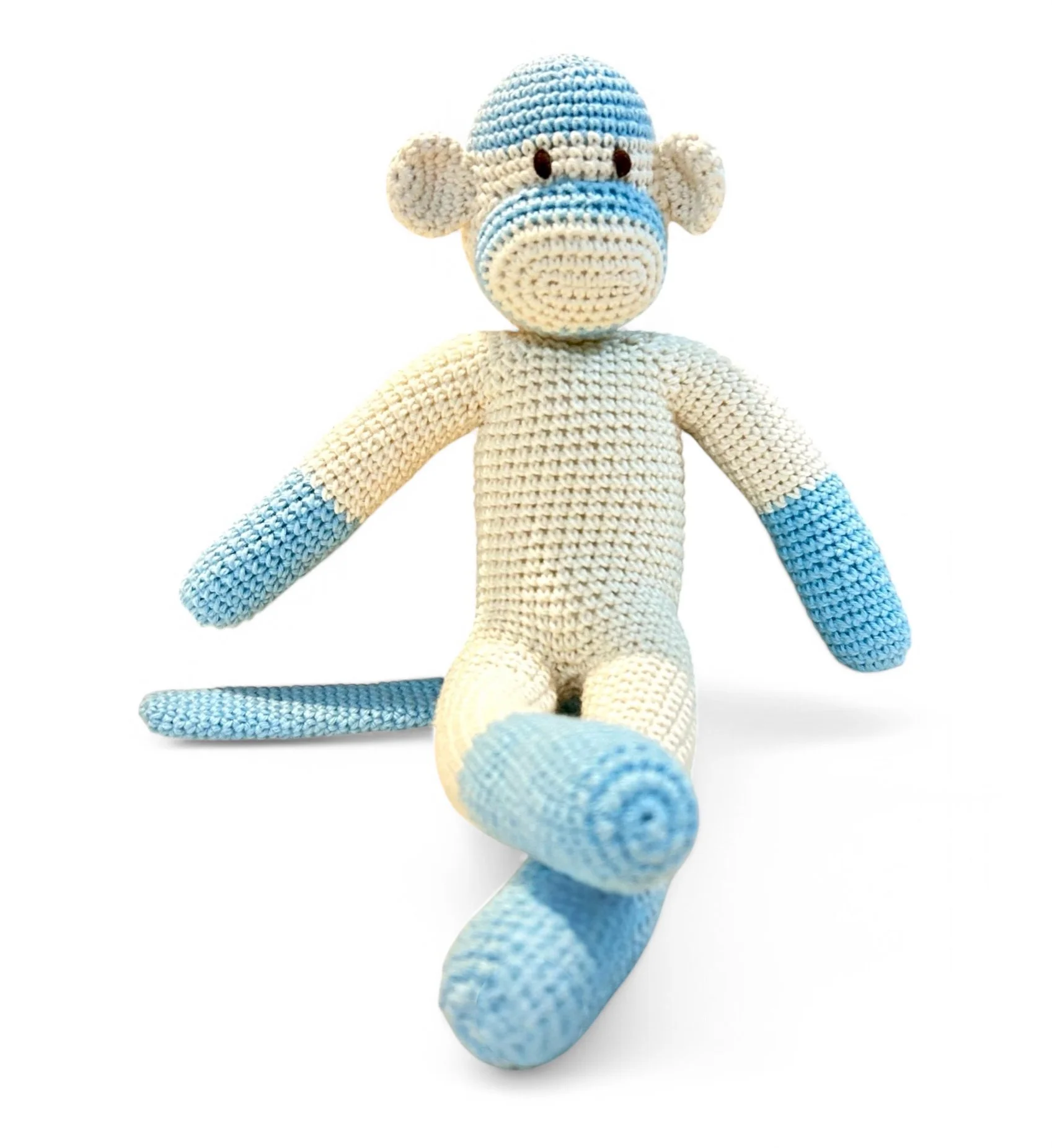 Einstein, the Education Monkey