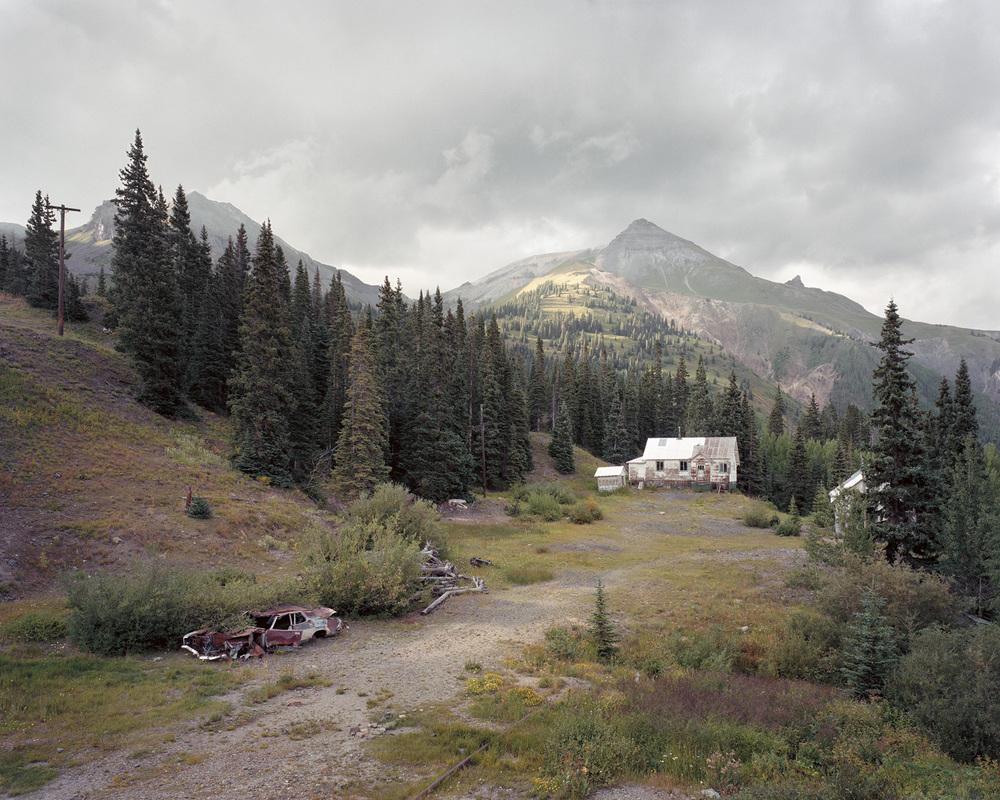 Look at that background! It's practically a painting!