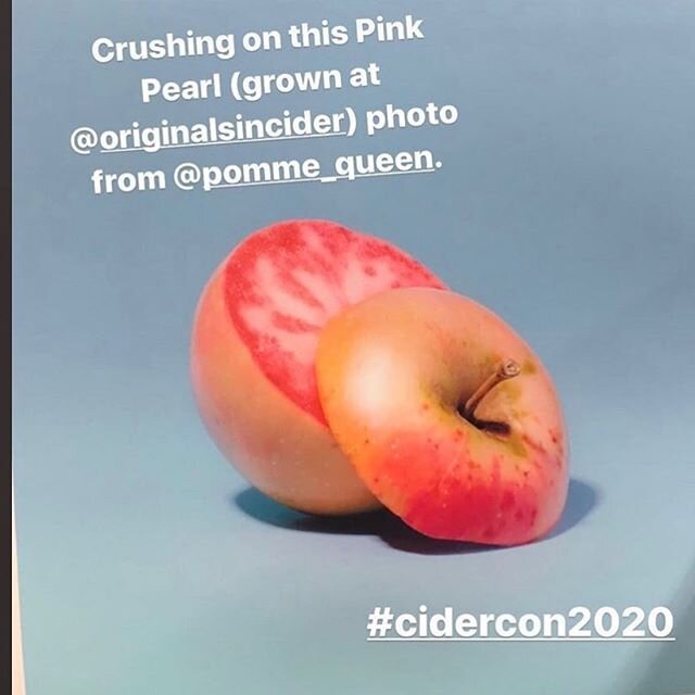 An awesome pic of a Pink Pearl apple variety from our orchard taken by the ultra-talented photographer and apple expert @pomme_queen #originalsin #hardcider #cider #hudsonvalleyappleproject #originalsincider #pinkpearl