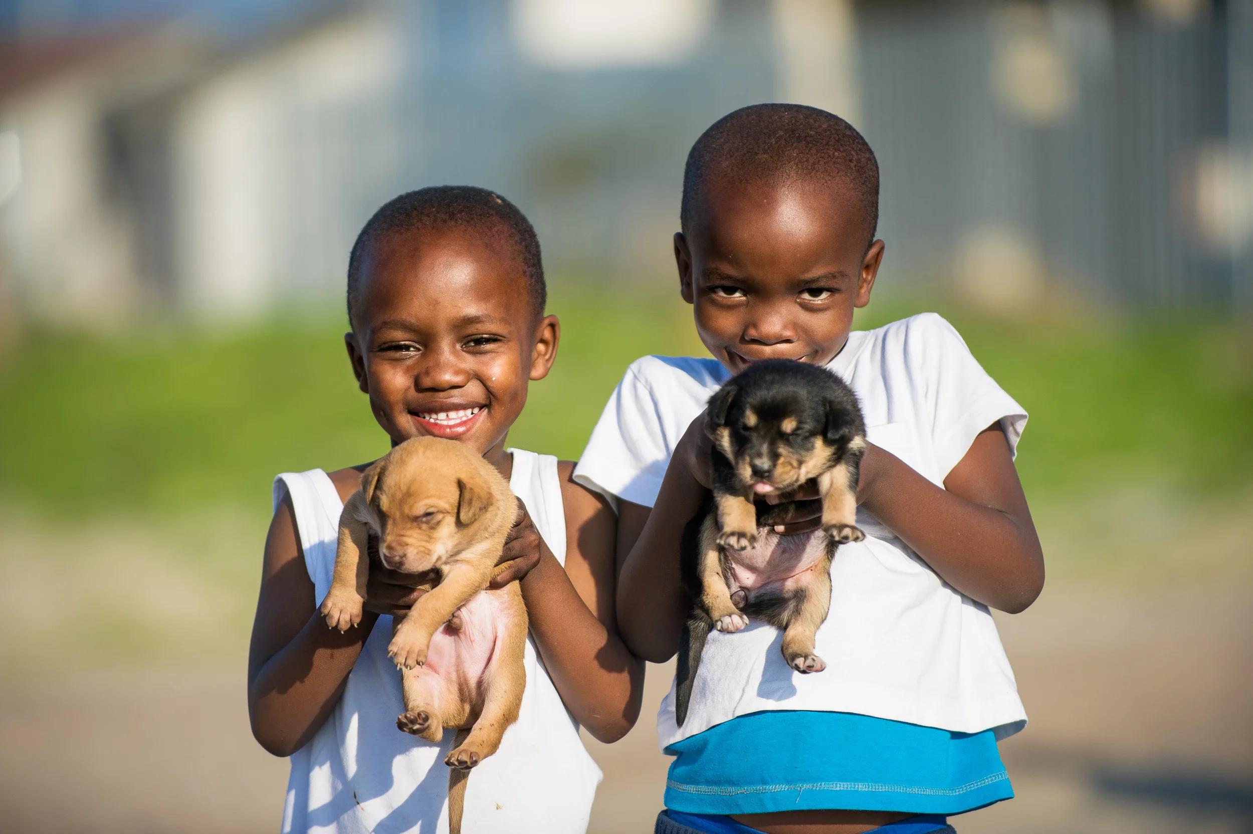 PuppyLove-11.jpg