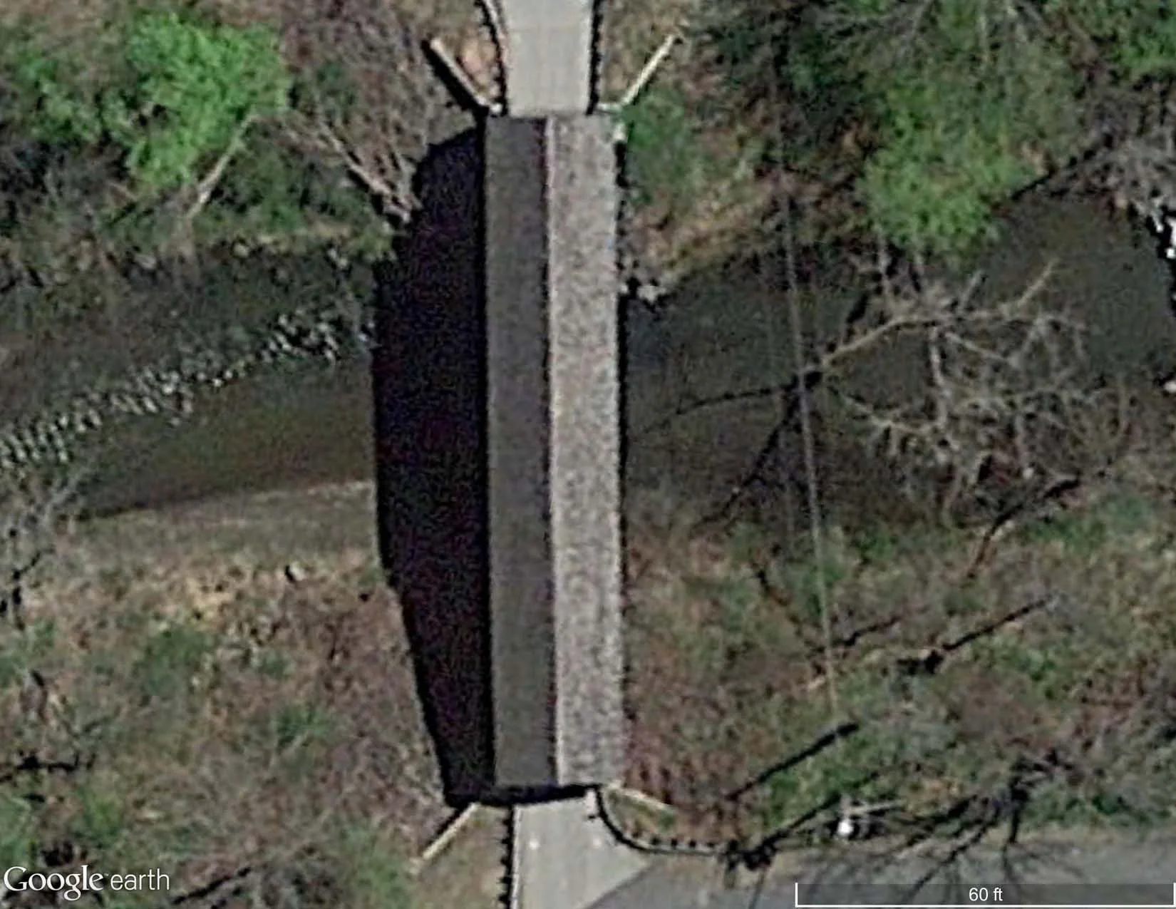 Cedar Shingle Roof - Satellite Image