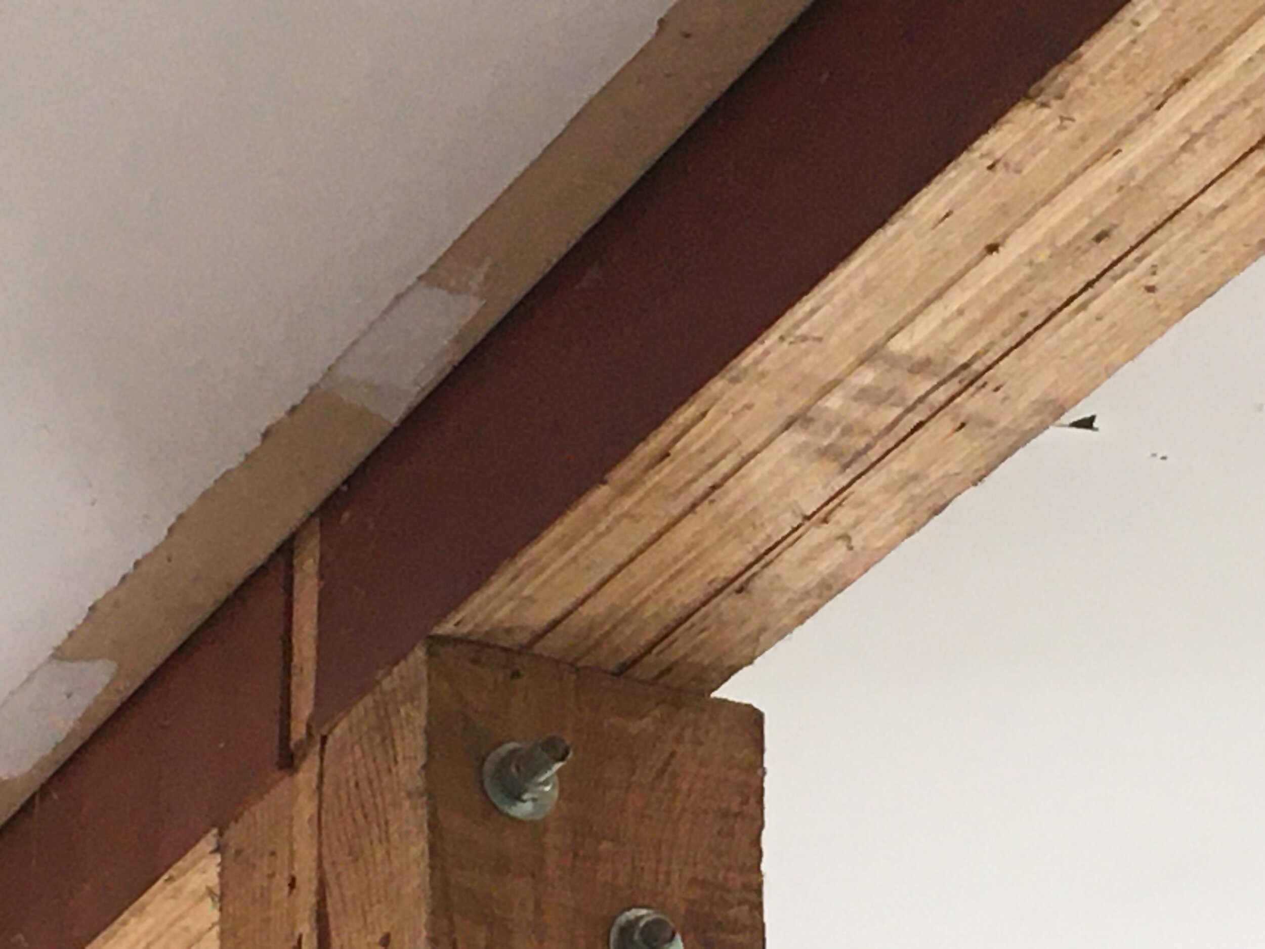 RoofOnline.com - Images - Engineered Wood - Image 1 .jpg