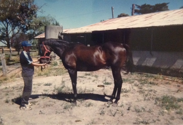 HORSES AND RICK 3.jpeg