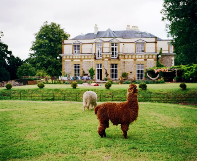 AliceTemperleyHouse.jpeg