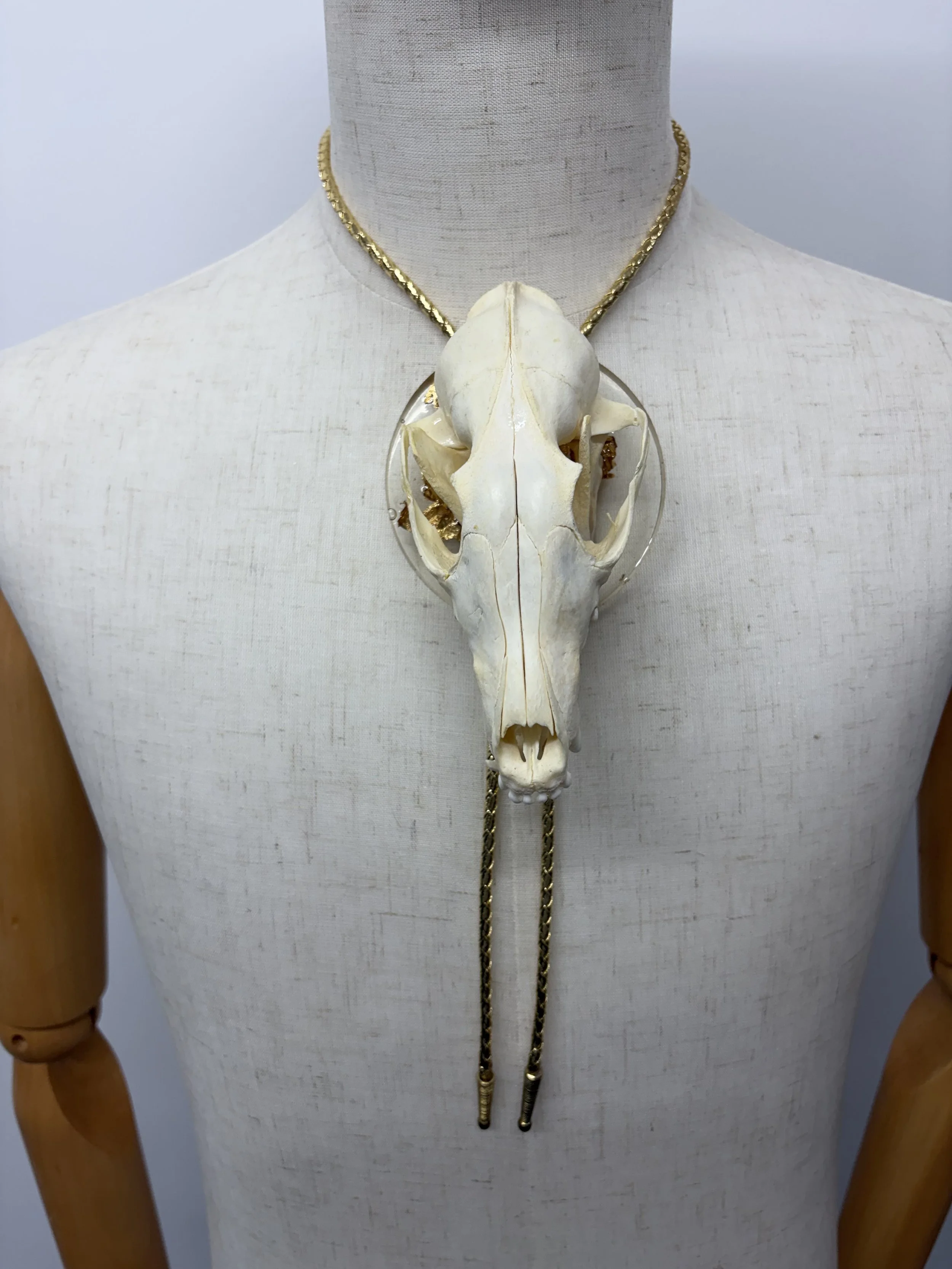 Fox skull bolo tie