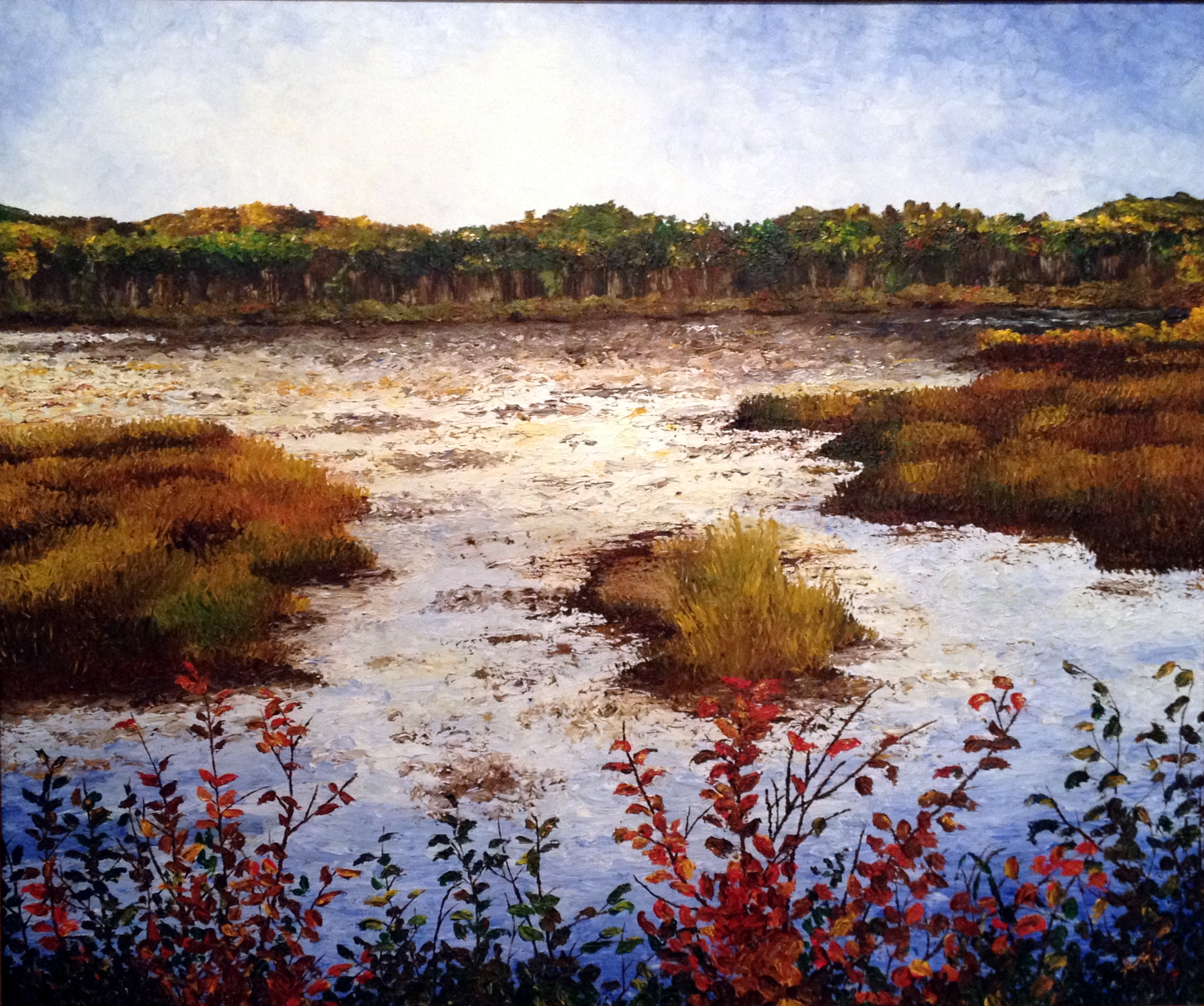 Maine Marsh