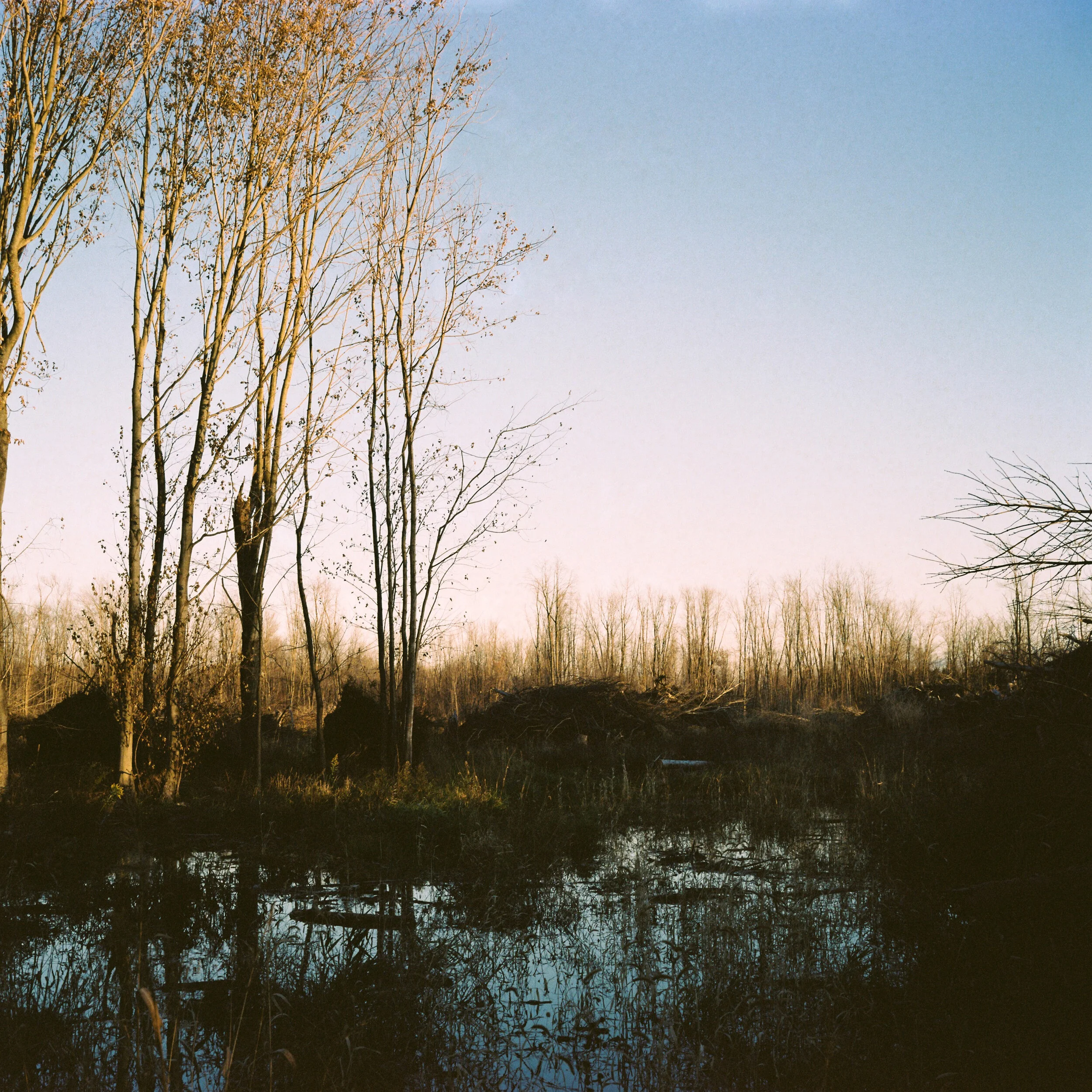 WS020519250456-20190508-09.jpg