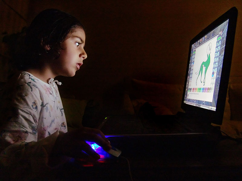 Autor de la foto: Nevit Dilmen. Licencia de uso: Creative Commons 3.0 ( aquí ) . Fuente original de la fotografía: https://commons.wikimedia.org/wiki/File:Child_and_Computer_08473.jpg