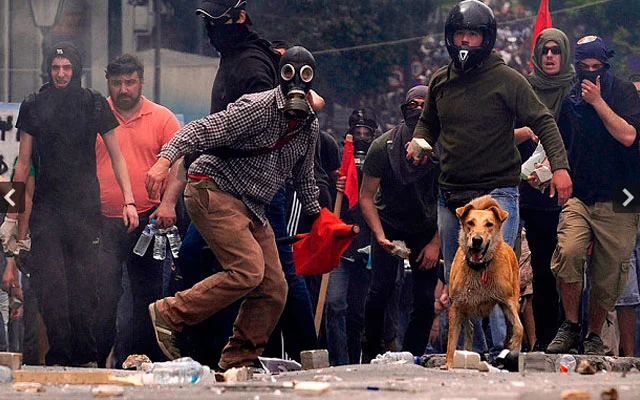 Loukanikos-perro-manifestaciones-grecia-muere.jpg