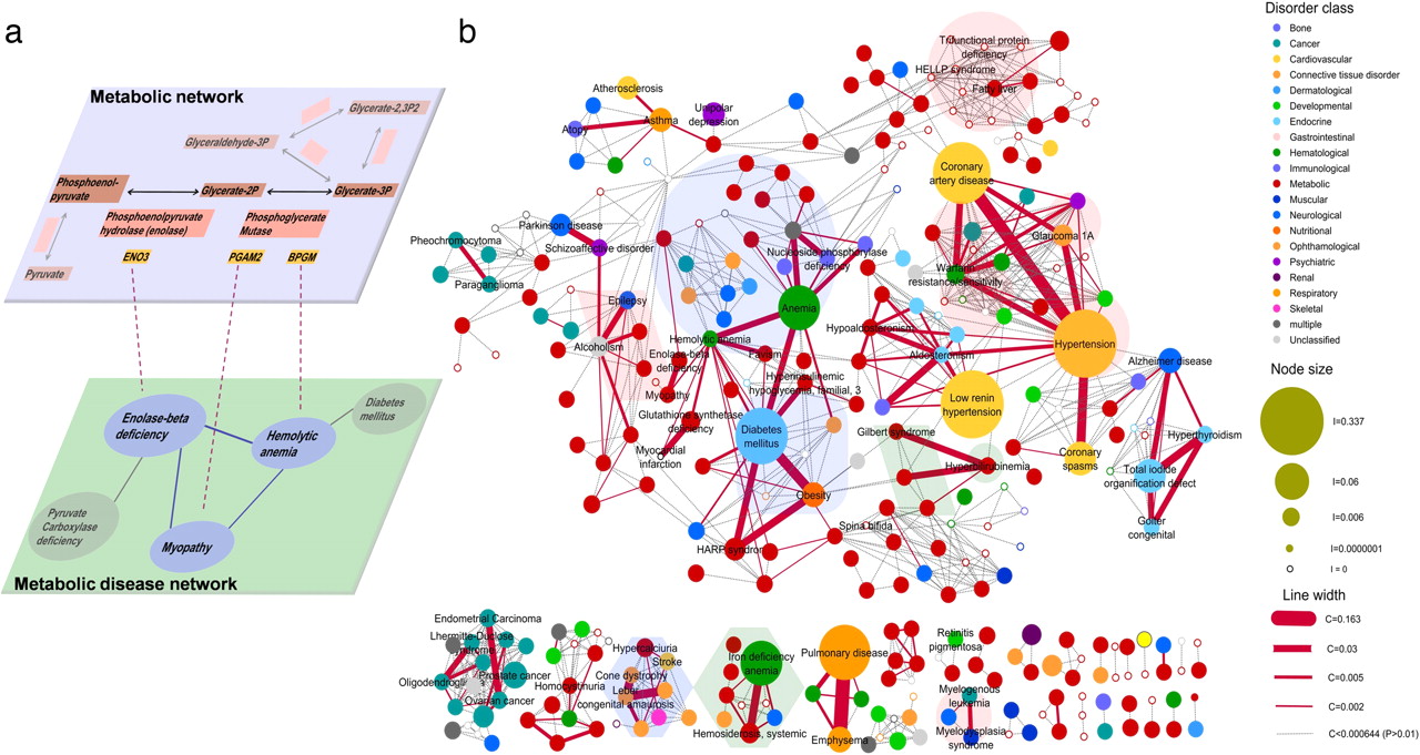 Puedes leer los resultados de esta investigación en este enlace: https://doi.org/10.1073/pnas.0802208105