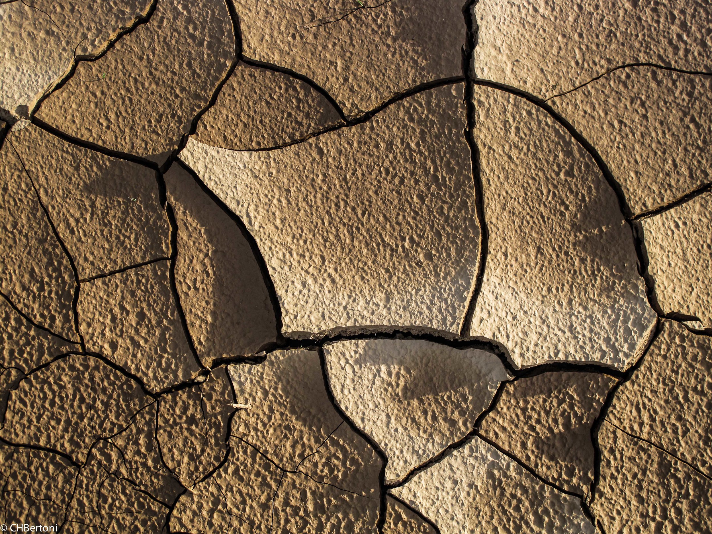 mudcrack2.jpg