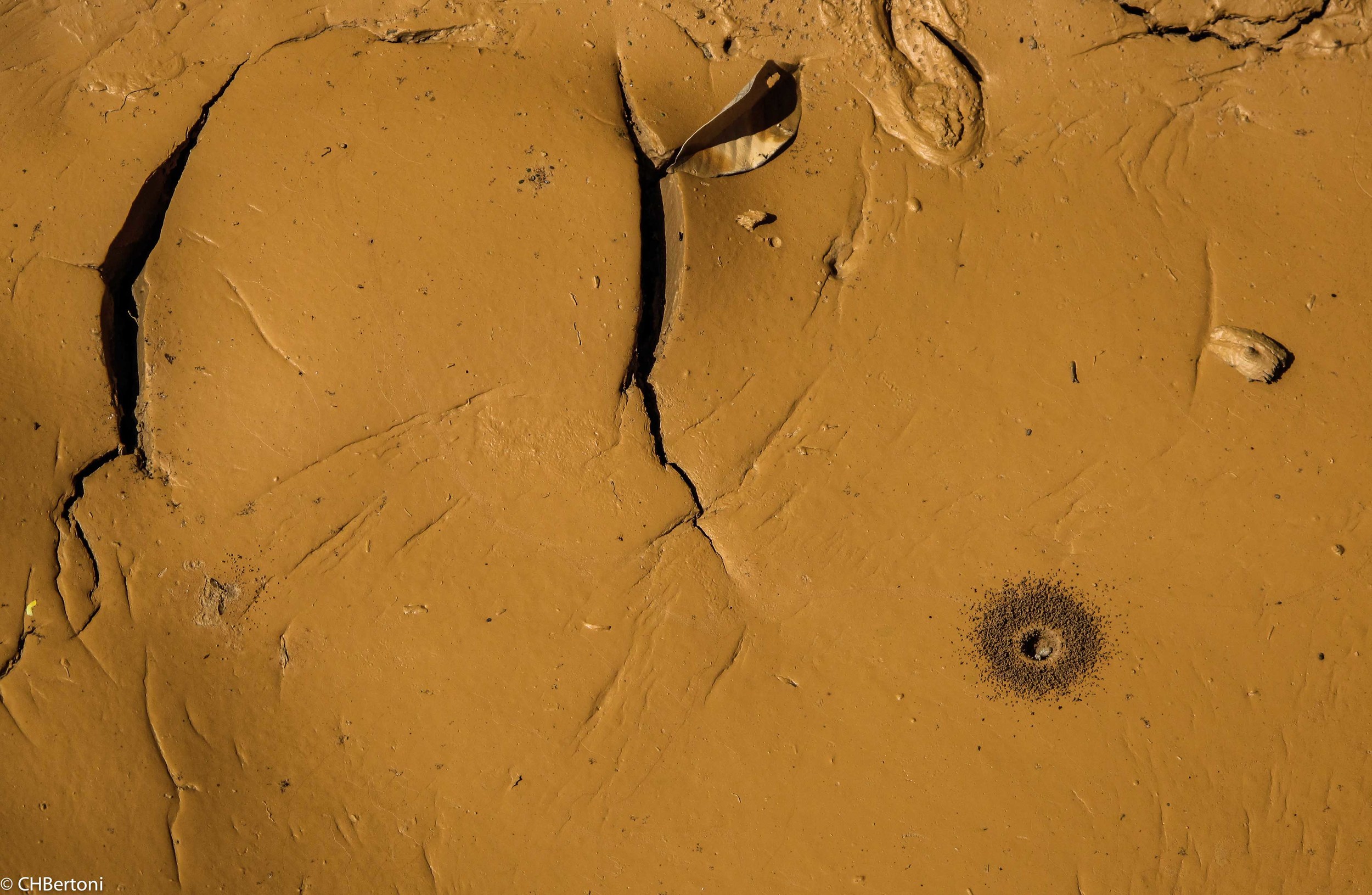 mudcrack4.jpg