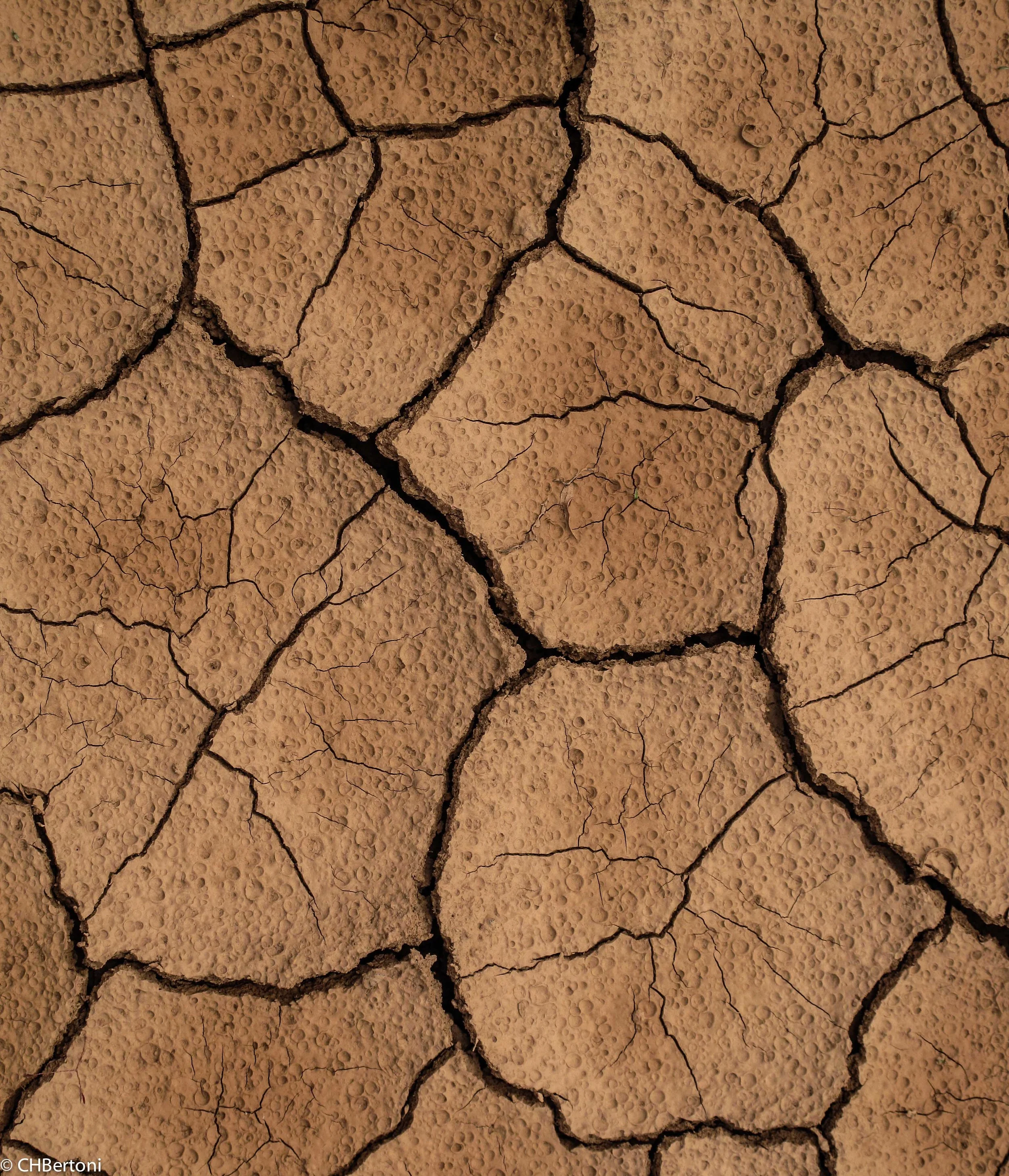 mudcrack5.jpg