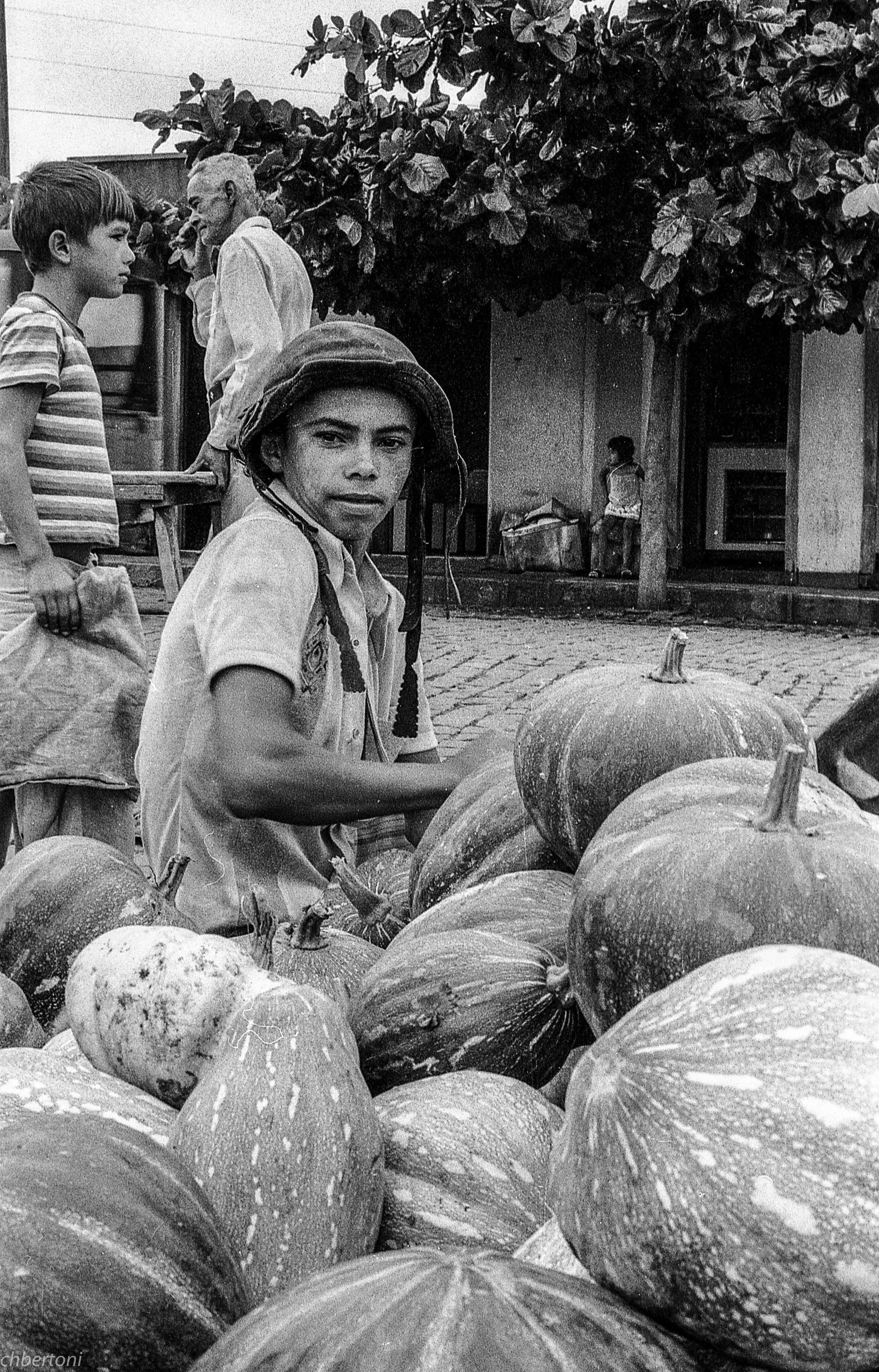 feira_abobora.jpg
