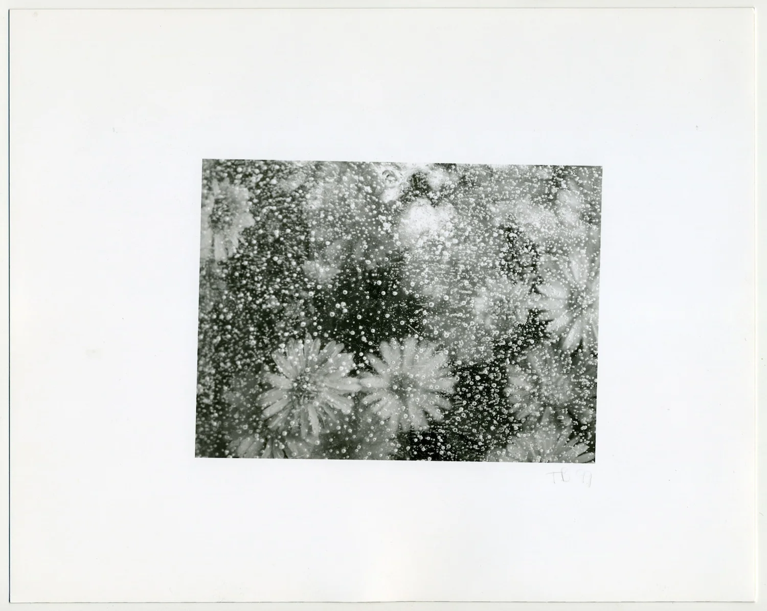 TOM BENDSTEN Untitled , 1999 B&W photo