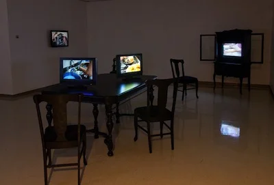 Feed, 2010 S ingle channel video installation Dimensions vary