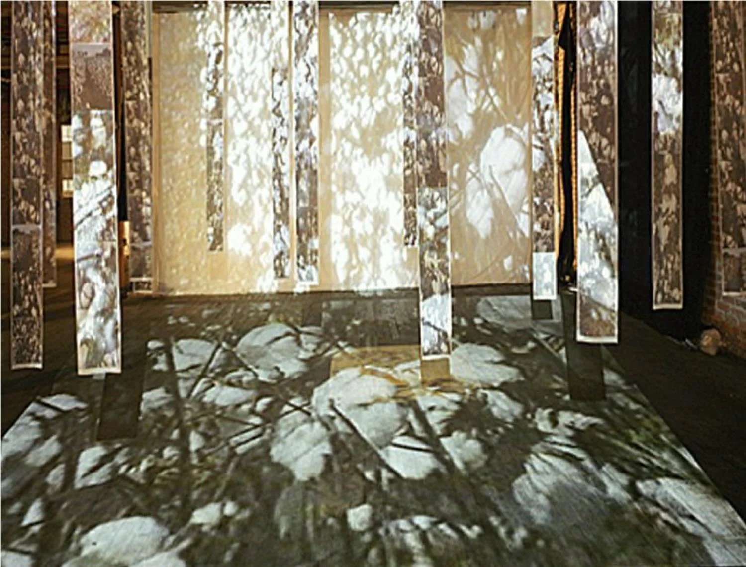 PAULA BRASWELL Installation shot of Cotton Fields II