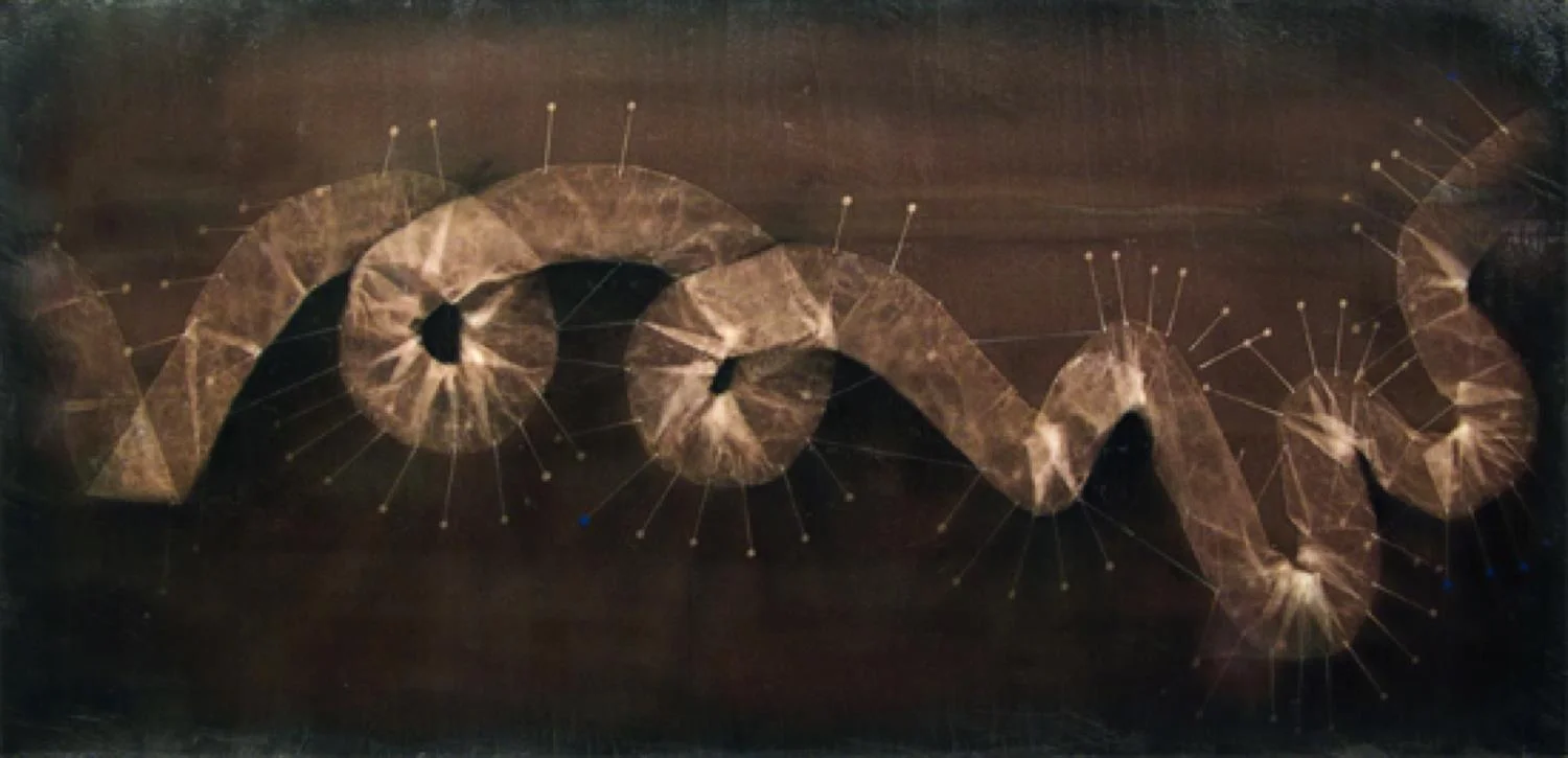 LAURA CUNNINGHAM Untitled Vandyke print photogram and mixed media, 14" x 29"
