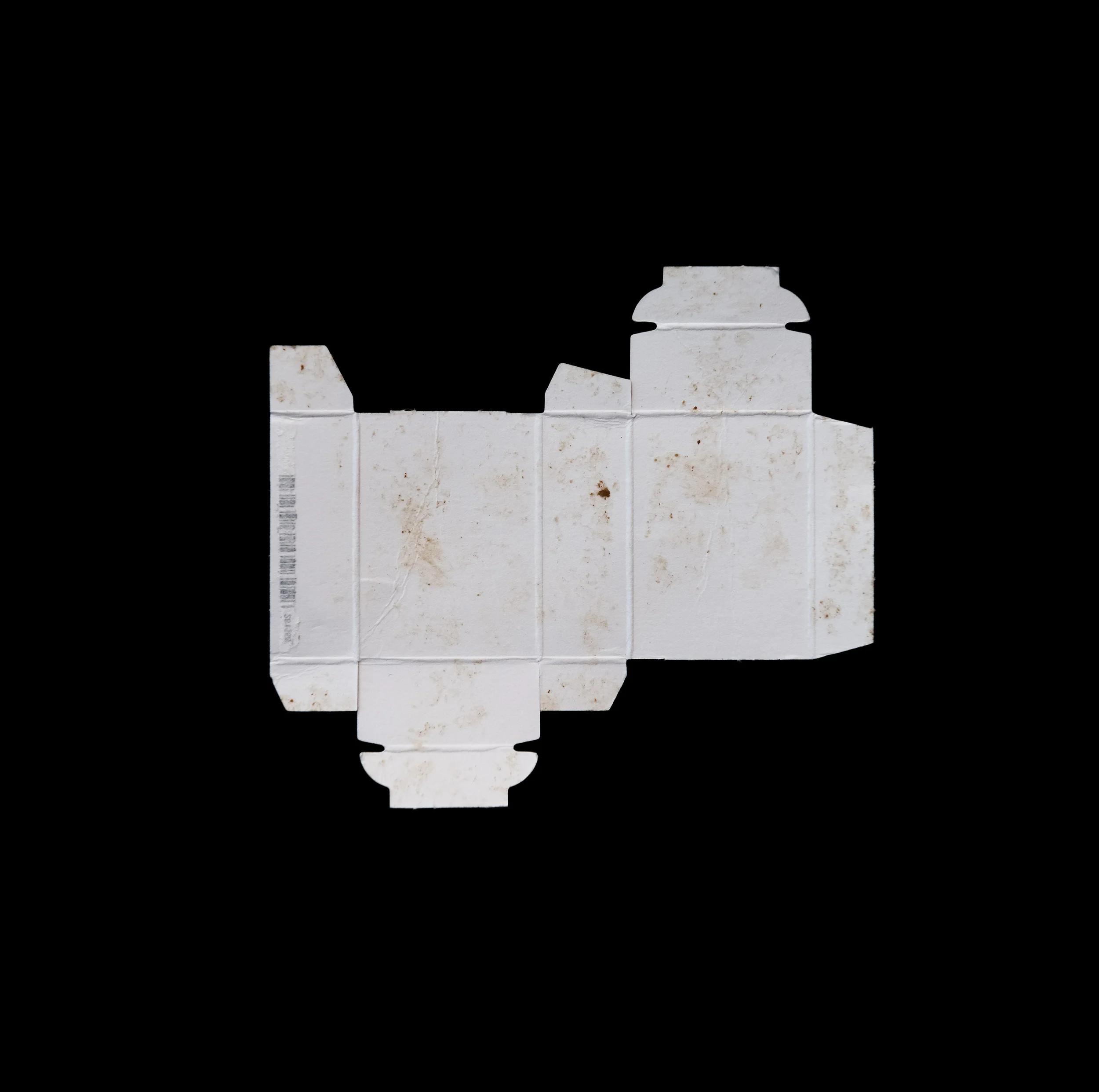 PEGGY TAYLOR REID form follows (dis)function: Sunkist Raisin , 2014-15 Pigment Inkjet