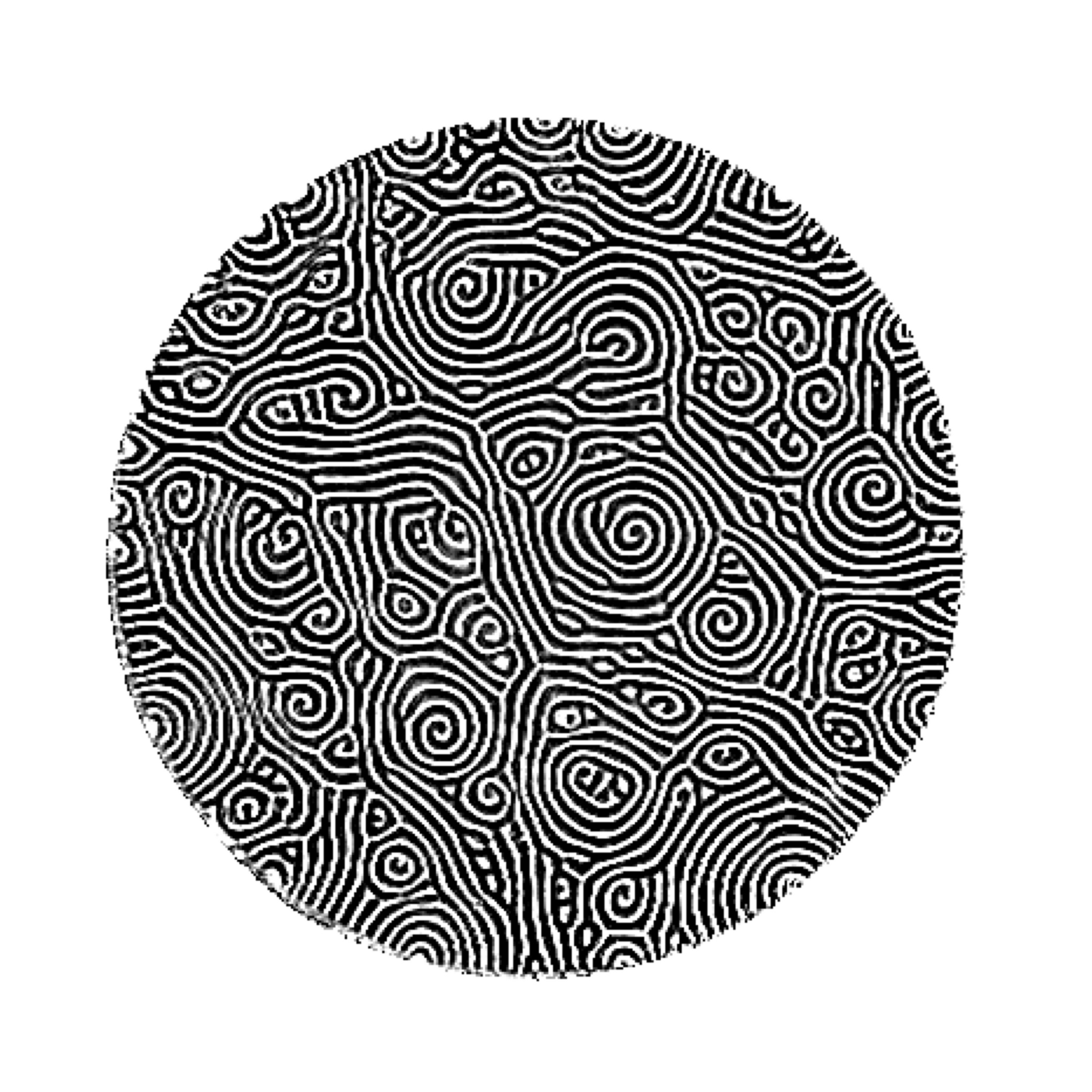 STEPHEN MORRIS Spiral Defect Chaos. 2015 Inkjet Print 36" x 36"