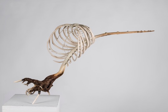 Expectations, 2015. Cedar Driftwood, cedar branches, acrylic paint, mixed media, 33 x 46 x 33cm