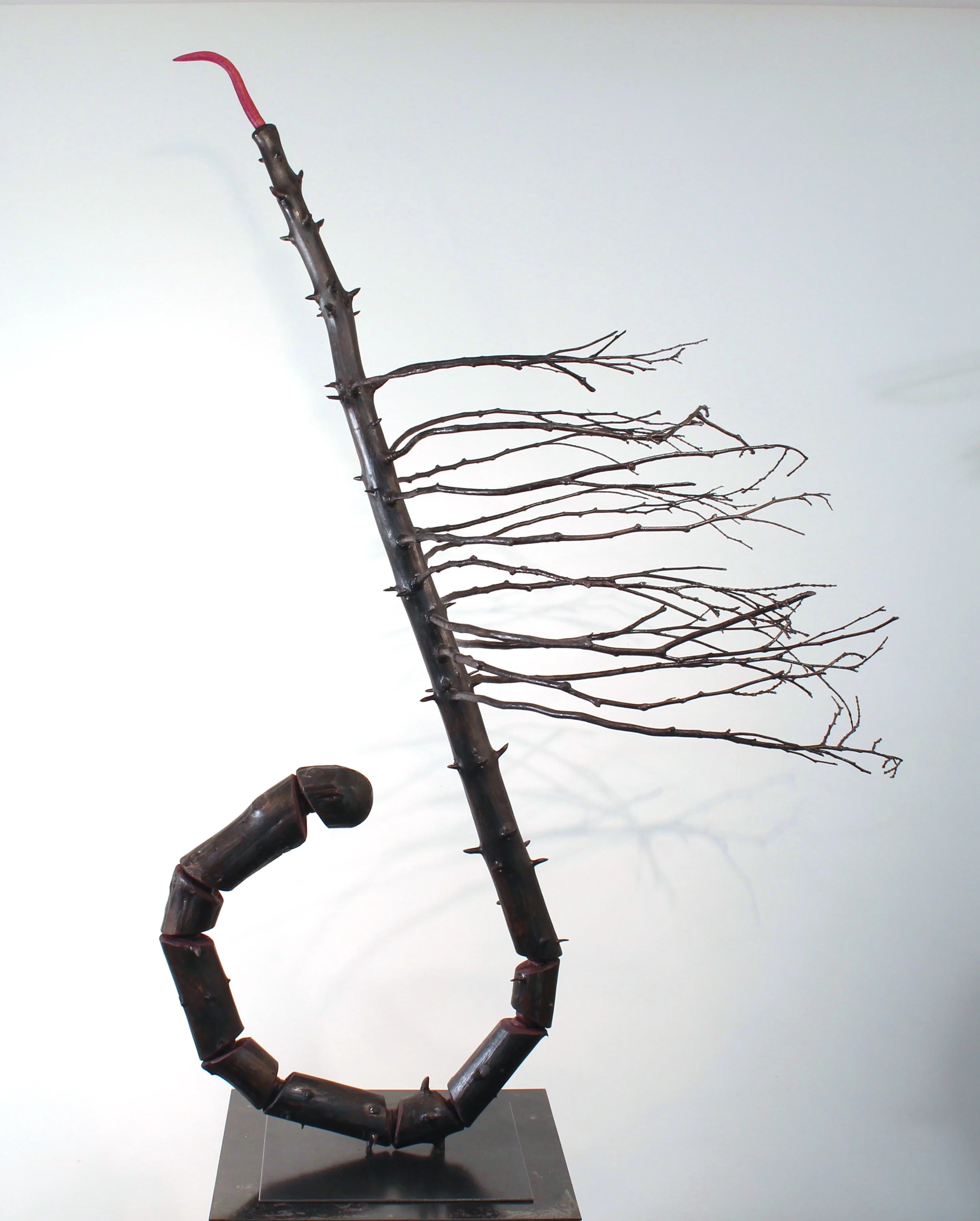 Expectations II, 2016 Spruce tree, cedar branches, foam, acrylic paint, steel base, 50 x 38 x 28 inches
