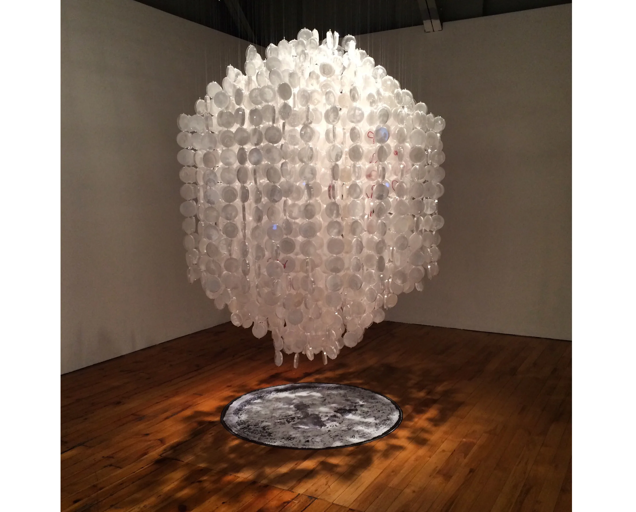 Shiver, 2015 104" x 56" x 56" 2300 Petri dishes, grown salt crystals, wool, fishing wire, vinyl print, pipette tips, wire Photo by David Williams