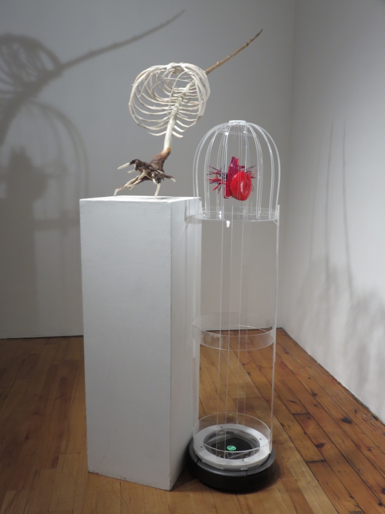 Expectations I , 2015 Cedar driftwood, cedar branches, acrylic paint, mixed media, 33 x 46 x 33 cm Expectations IV (detail), 2016 Acrylic, styrofoam, wood, steel, acrylic paint, Roomba vacuum cleaner, 52 x 13 x 13 inches