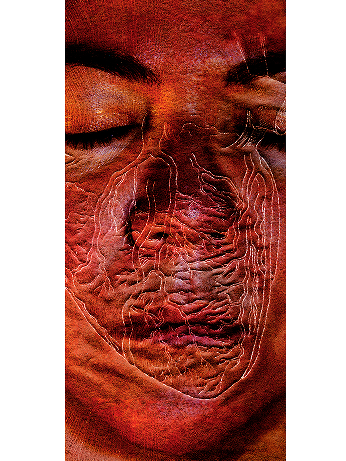   Scars (Heart on My Face)  Film-based transfer print on Chinese mulberry paper and non-woven fusible interfacing; acrylic; oak dowels 87" x 38" 