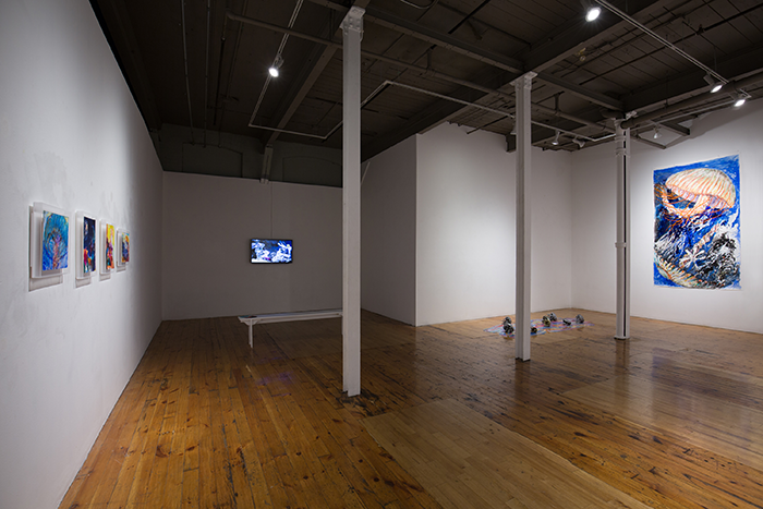  Installation view of  UnderSee,  2018. Photo by David Williams. 