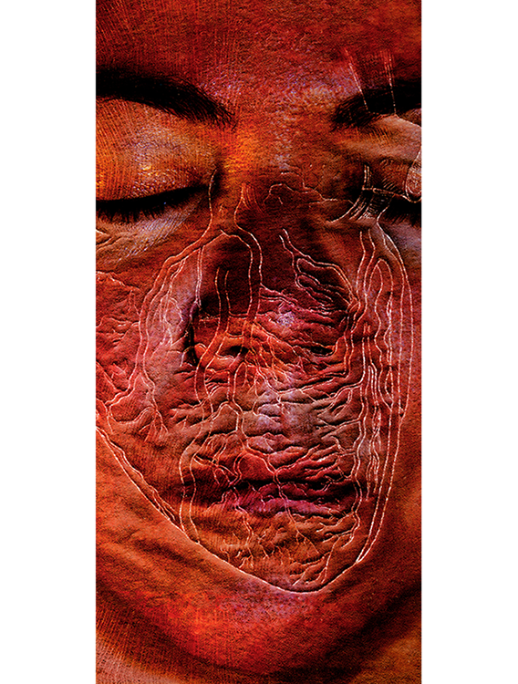   Scars (Heart on My Face)  Film-based transfer print on Chinese mulberry paper and non-woven fusible interfacing; acrylic; oak dowels 87" x 38" 