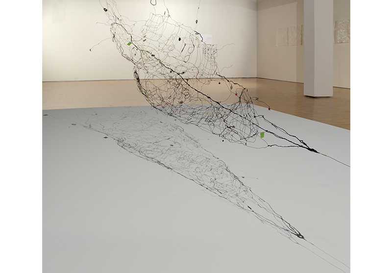   Pod Form , 2011 Installation view of  Tethered Memories Hung Low Beneath the Void , 2011 Mixed Media Wire 15’ x 20’ x 12’ (dimensions may vary) 