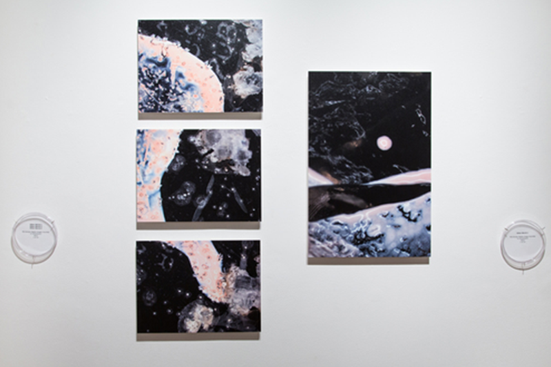   Other World 1-4  (series), 2013 Microscopy digital prints Dimensions may vary 