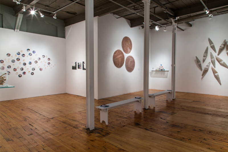  Installation view of  Ambient Plagues,  2013, at the Red Head Gallery. 