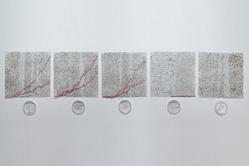   Ebola Graph , 2015 Grown salt crystals, wool, wire, halobacteria, petri dish 20" x 20" each Photo by David Williams 